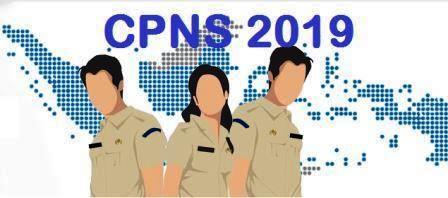 Penerimaan CPNS & PPPK 2019 Untuk 100.000 Formasi