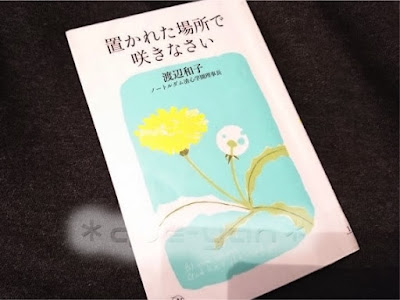[最も好ましい] 置 かれ た 場所 で 咲き なさい 名言 157166