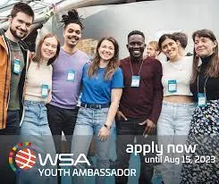 Call For Applications:World Summit Awards (WSA) Youth Ambassador Network 2024