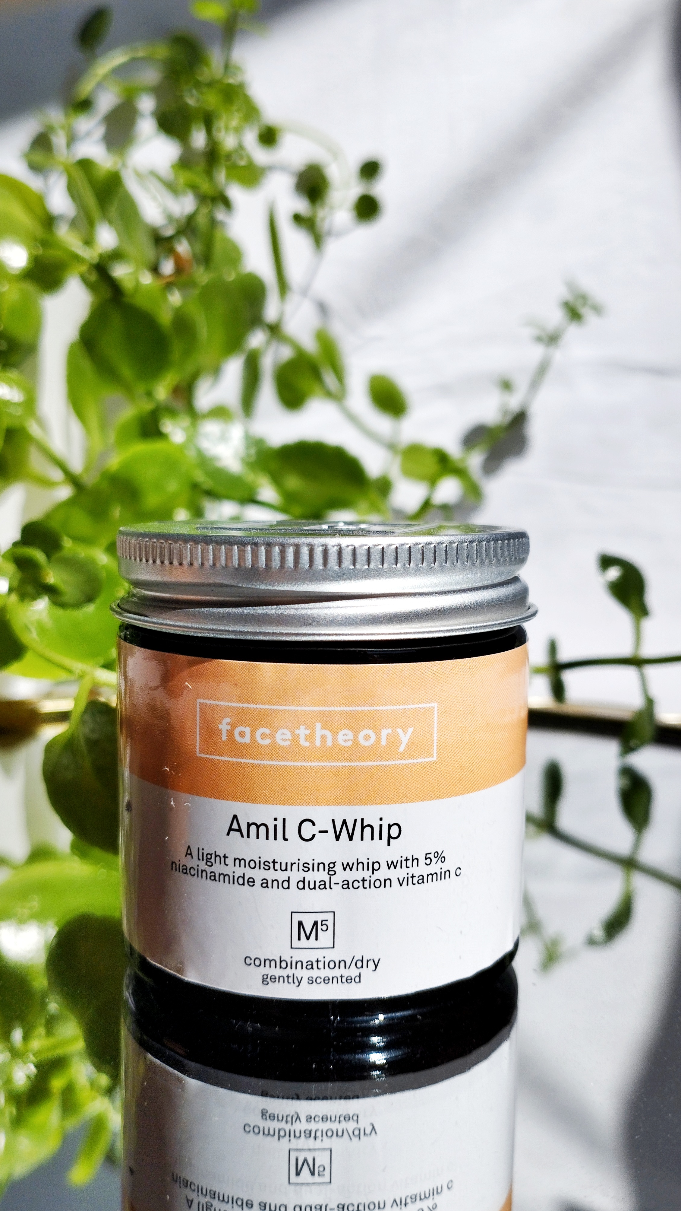 Facetheory Amil C-Whip Moisturizer