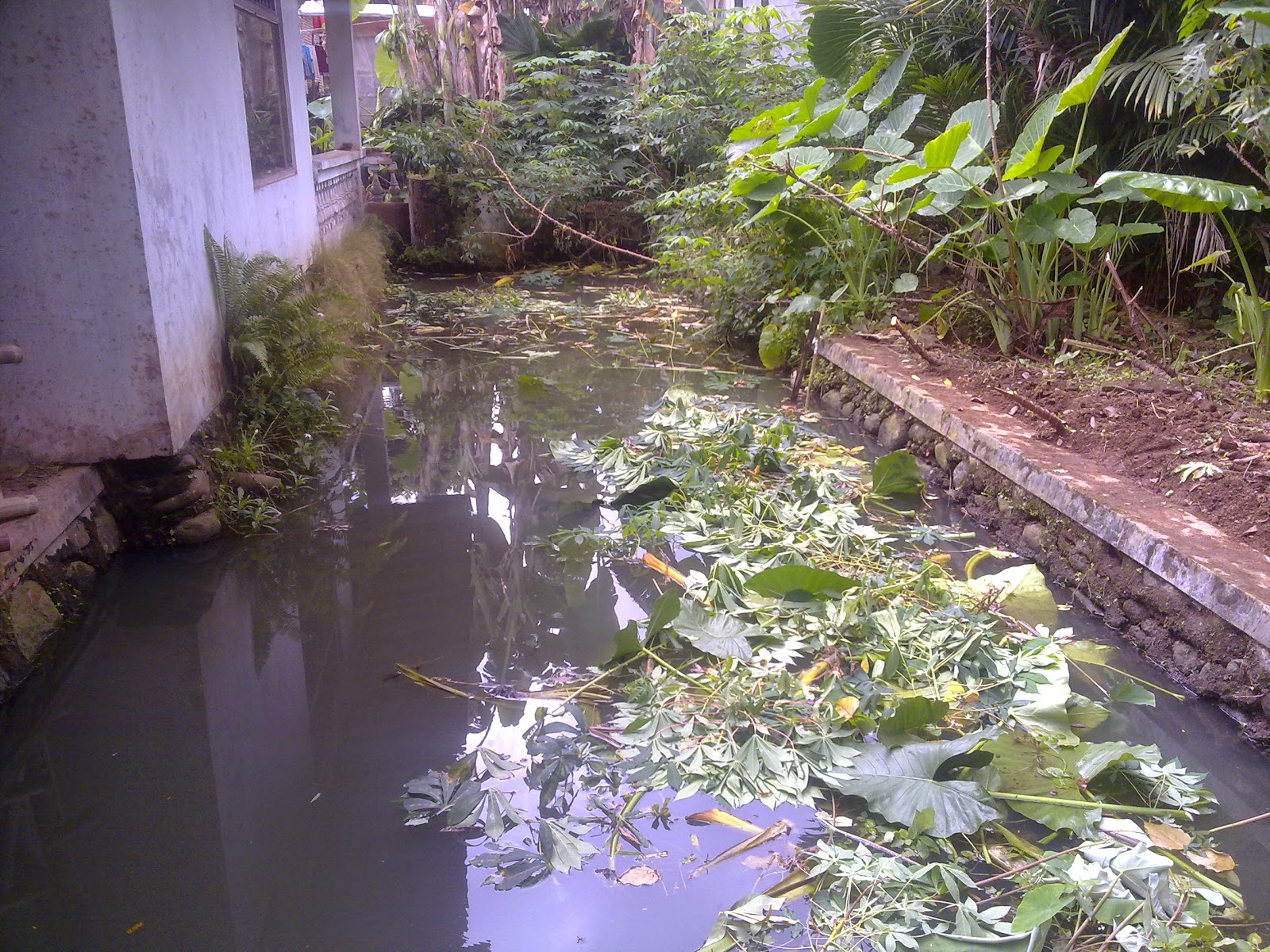 Indonesia Tourism Desain Taman Kolam Rumah Minimalis