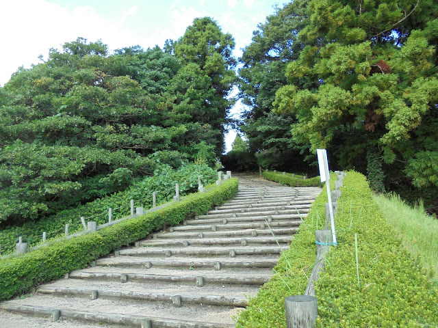 階段を登ってこの丘の向山古墳群に向かいます