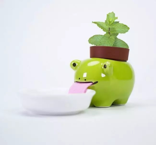 Cute Animal Planters Keep Themselves Hydrated By Drinking From Little Water Bowls
