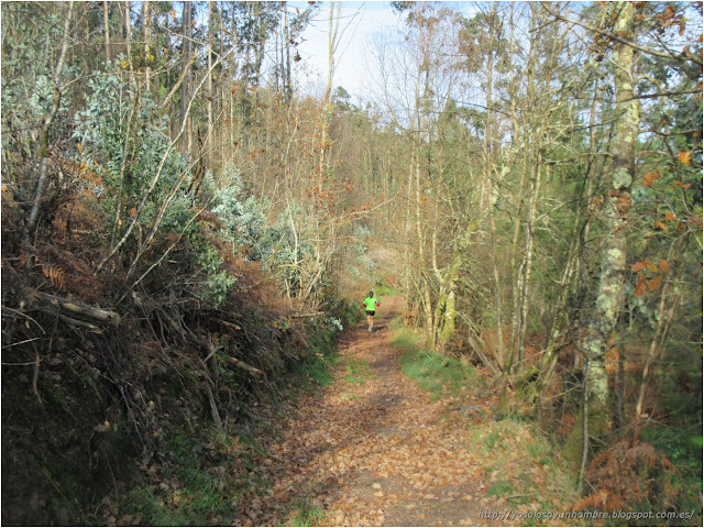 Corriendo entre la naturaleza