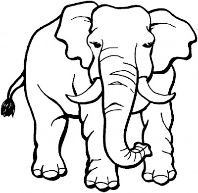 Jungle Animals Coloring Pages 