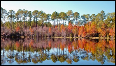 fall GA5