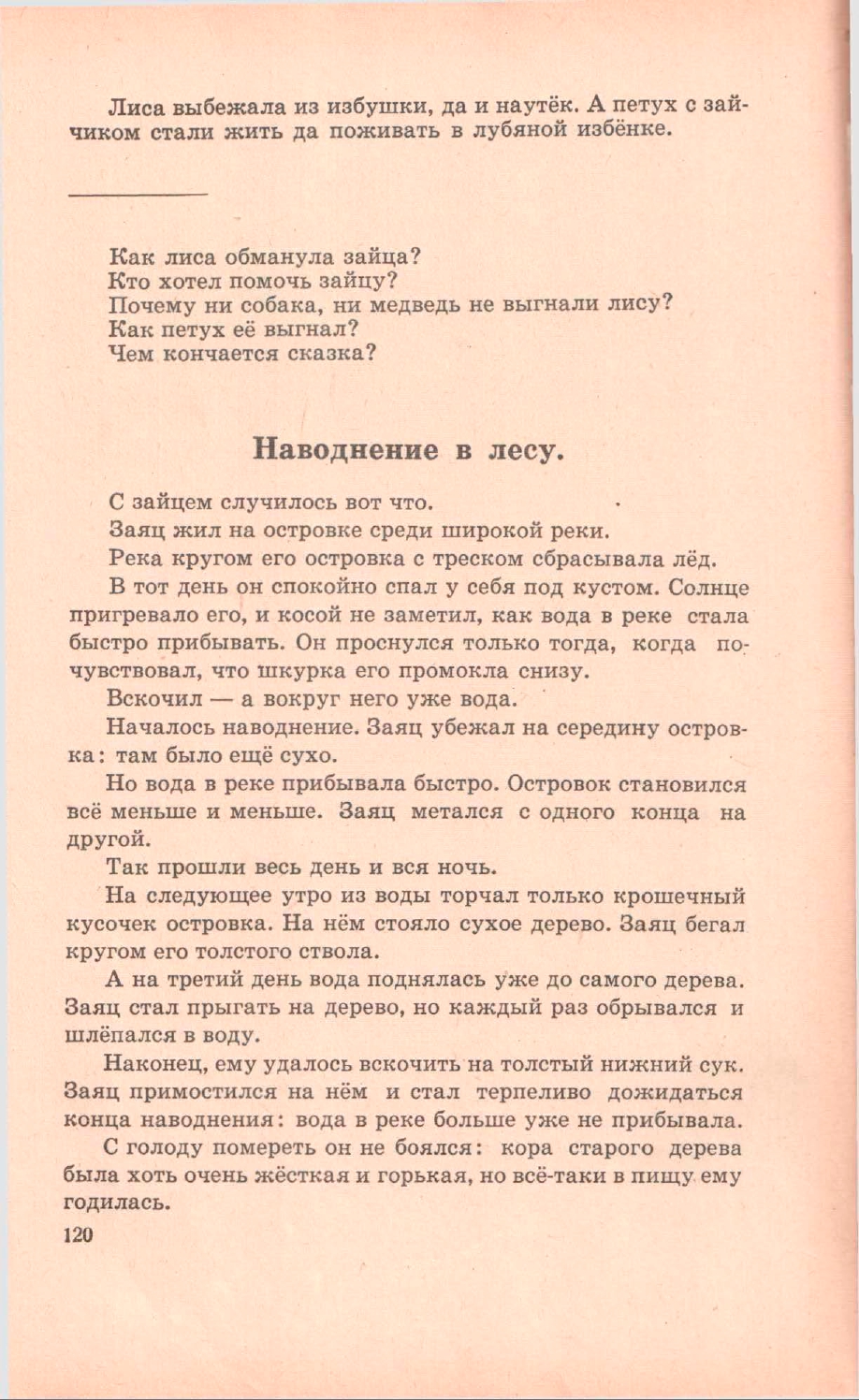 Заяц жил на островке вода в реке