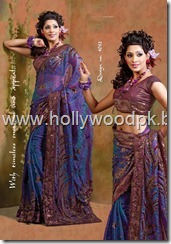 latest saari. indian saari. pakistani saari. pakistani bridial dress lehnga choli (28)
