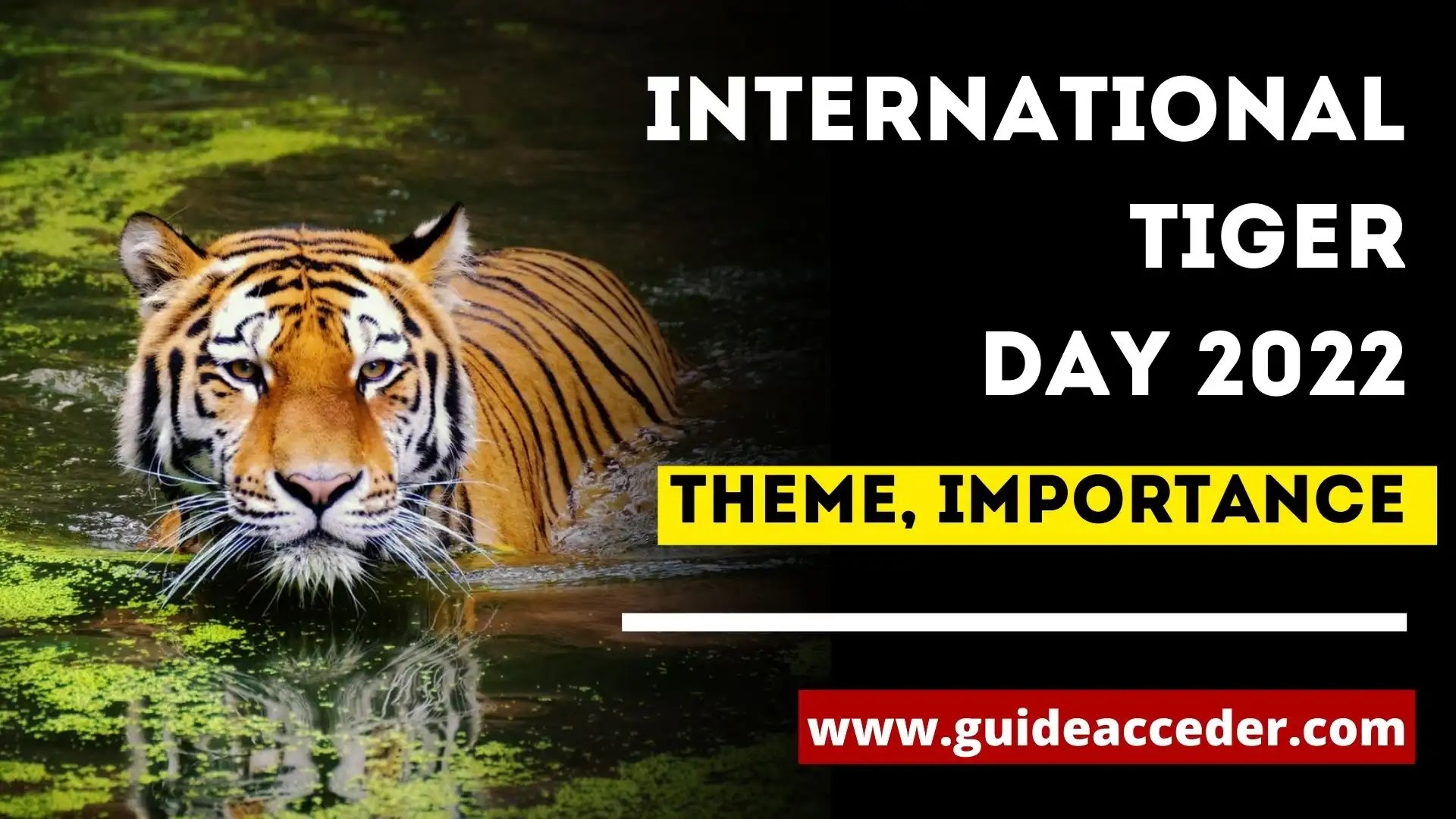 International Tiger Day 2022 | Theme for International Tiger Day 2022
