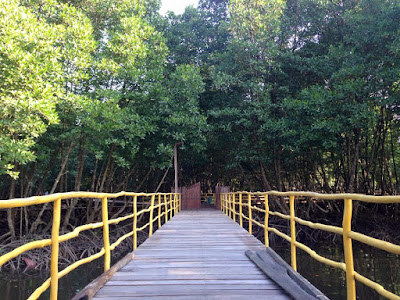 Hutan Mangrove BSD