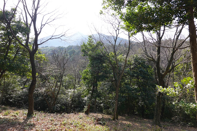 鳥取県西伯郡大山町妻木 むきばんだ史跡公園 弥生の森の遊歩道