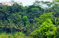 Ide 78+ Background Pemandangan Rumah Kampung