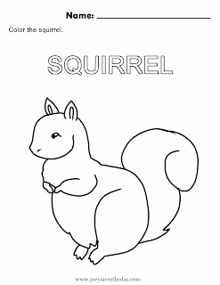 Squirrel coloring sheet