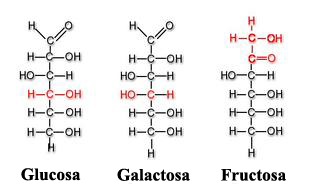 Moléculas de glucosa, galactosa y fructosa