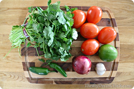 simple salsa recipe