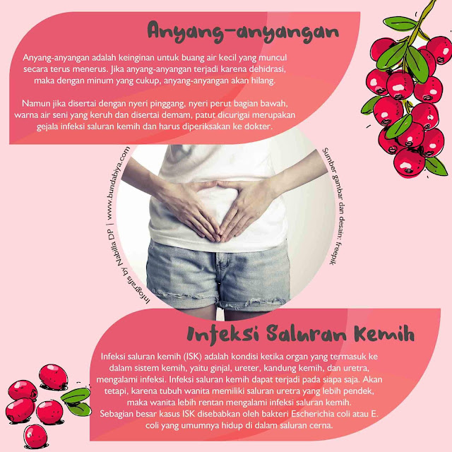 mitos mengenai anyang-anyangan, harga uri-cran plus, komposisi uricran, uricran komposisi, uricran untuk ibu hamil, uricran aman untuk bumil, cara minum uricran, harga uricran, beli uricran di jakarta, beli uricran di bandung, beli uricran di surabaya, beli uricran di semaarang, beli uricran di jogja, beli uricran di malang, beli uricran di makassar, bebas anyang-anyangan, mencegah anyang-anyangan