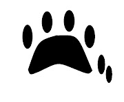 This would be an approximate paw print from the anterior sinister(left) paw. (catprint)