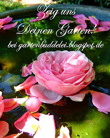 http://gartenbuddelei.blogspot.de/2015/04/zeig-uns-deinen-garten-heute-der-garten_21.html