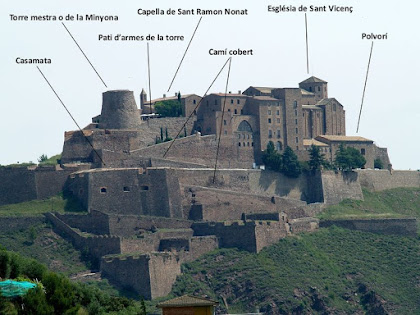 El Castell de Cardona des del Parc Cultural de la Muntanya de Sal