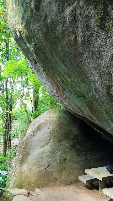 Floresta da Tijuca no Rio de Janeiro : dicas do que fazer.