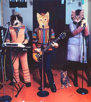 kitten band