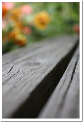 DPP_00014150