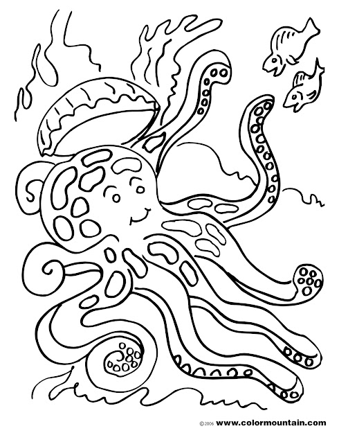 Coloring Book Pages Octopus  Octopus Party Color Sheet Coloring Page