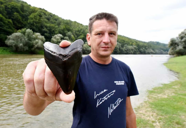 Coisas estranhas que apareceram nas praias