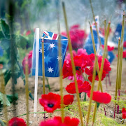 Anzac Day 2013 (poppies)