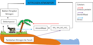   siklus oksigen, makalah daur oksigen, presentasi daur oksigen, mengapa dalam daur fosfor tidak melibatkan komponen atmosfer, proses daur fosfor, pengertian daur fosfor, daur karbon, siklus sulfur, siklus nitrogen