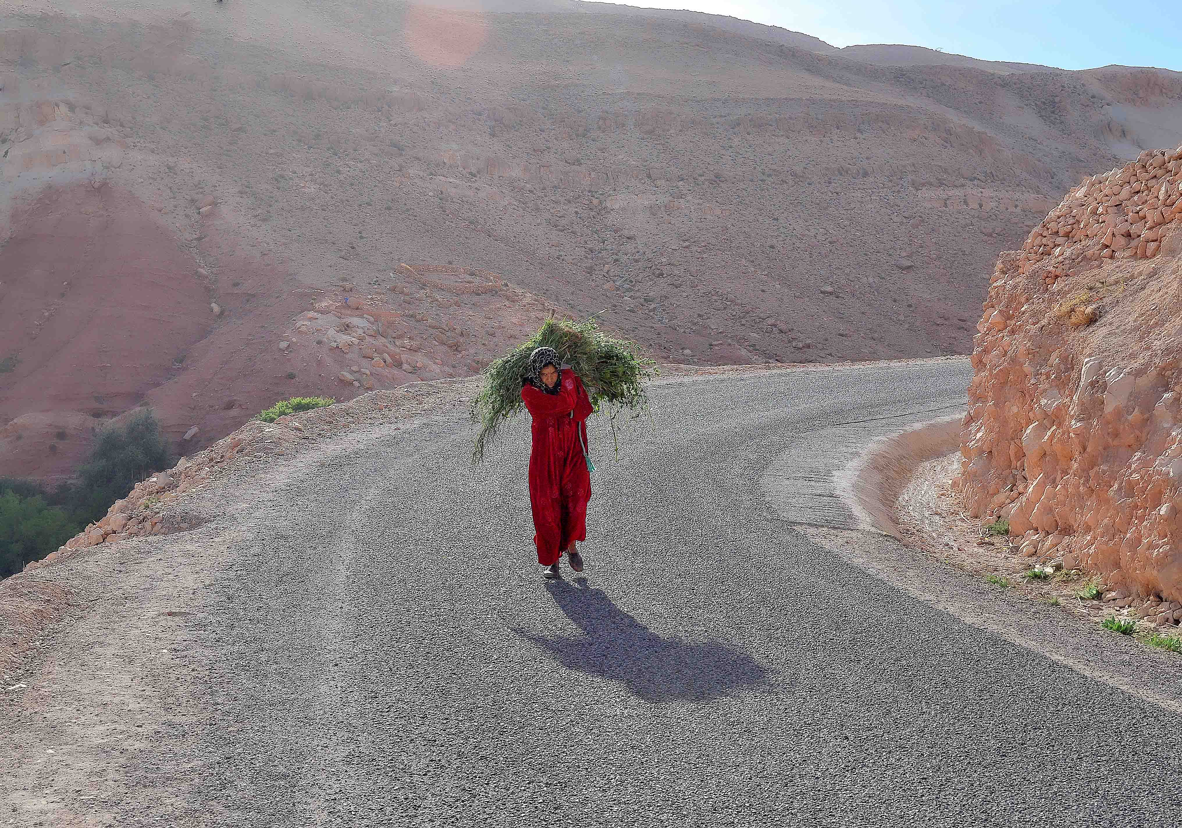 Una dona torna dels camps (Marroc)