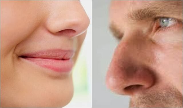 hidung wanita dan pria