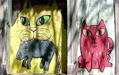 adopteungatito