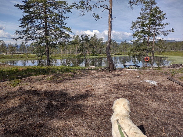 hallingdal flå turufjell stolpejakt