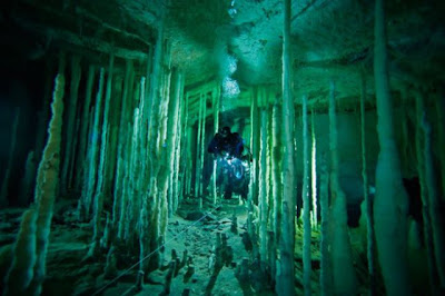 The Magnificent Blue Holes Of The Bahamas Seen On  www.coolpicturegallery.net