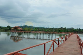 jembatan mangrove di pangandaran