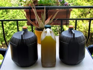 IMG_1015 IMG_1015