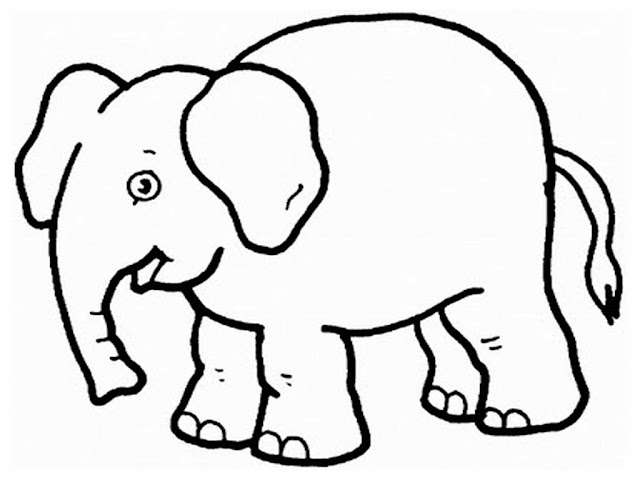 Elephant Coloring Cartoon Drawing Free wallpaper