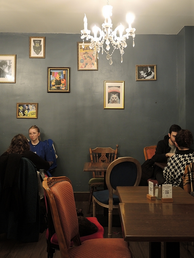 Parijs: pelsen vriendjes en een blind date in het kattencafé