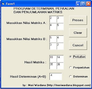 program aplikasi matriks dan determinan dengan VB