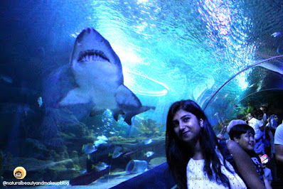 anamika chattopadhyaya at AQUARIA KLCC, Kuala Lumpur, Malaysia, NBAM blog.