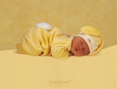 Anne-Geddes-b-b-dort