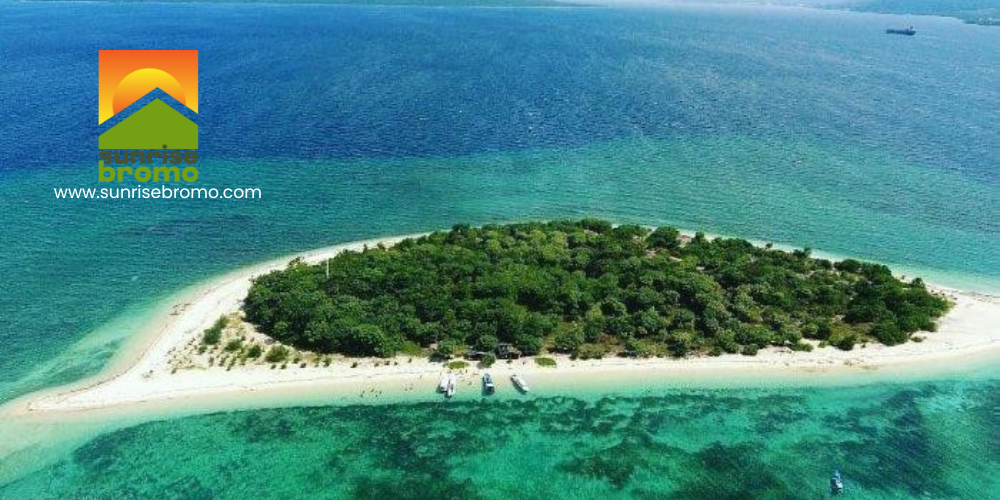 destinasi wisata pulau tabuhan banyuwangi jawa timur