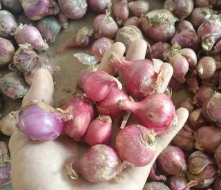 Jual dan harga bawang merah perkilo, setengah kilo dan seperempar kilo (kg)