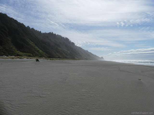 mass of beach disappearing into the mist