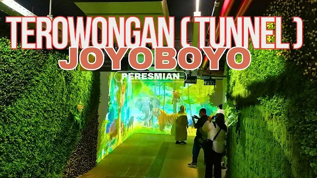 tunnel-joyoboyo