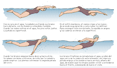 estilos de natacion lookalike