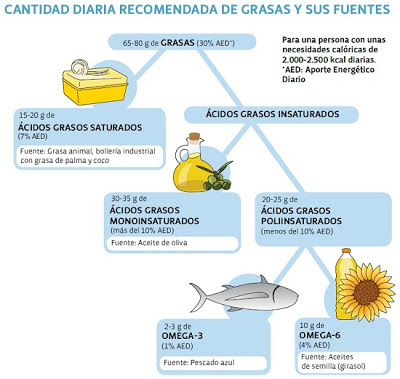 Cantidad diaria recomendada de grasas y sus fuentes