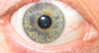 TintaKu: Kesan penyakit melalui mata