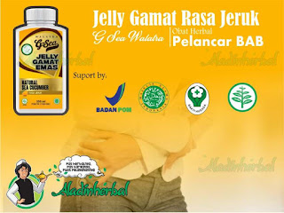 Jelly Gamat Rasa Jeruk G-Sea Walatra Obat Herbal  Pelancar BAB